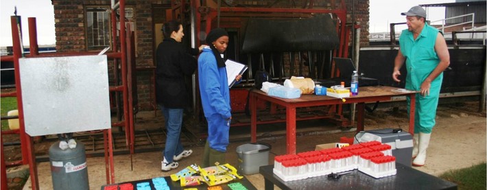 Trial preparation