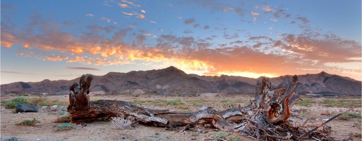 Northern Cape