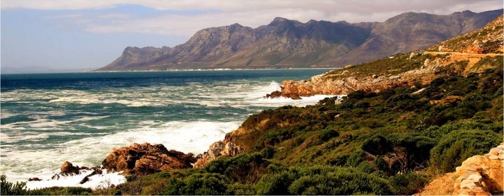 Hermanus