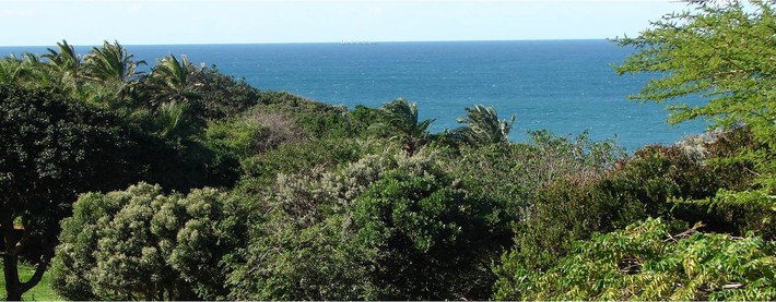 Natal