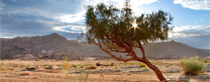RICHTERSVELD